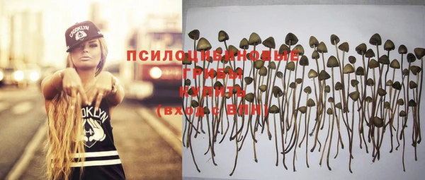 соль курить ск Киреевск
