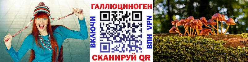 Галлюциногенные грибы MAGIC MUSHROOMS  Купить закладки  Отрадное 